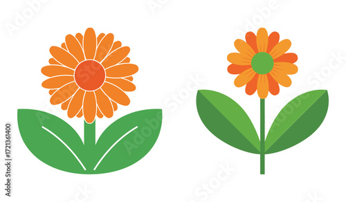 Two orange flowers with green leaves and stems on white background leaf