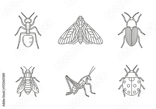 Line art illustrations of various insects including an ant, moth, beetle, bee, grasshopper, and ladybug, presented as a collection of detailed outlines.
