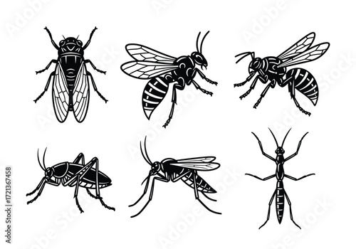A collection of six black and white insect illustrations, including a fly, wasps, cricket, mosquito, and stick insect.