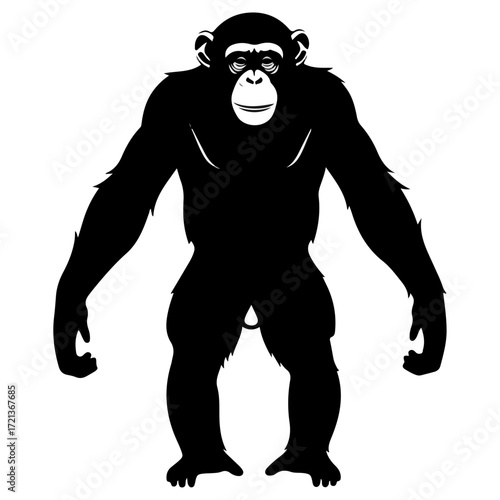 Chimpanzee silhouette standing upright, focused on the main subject.