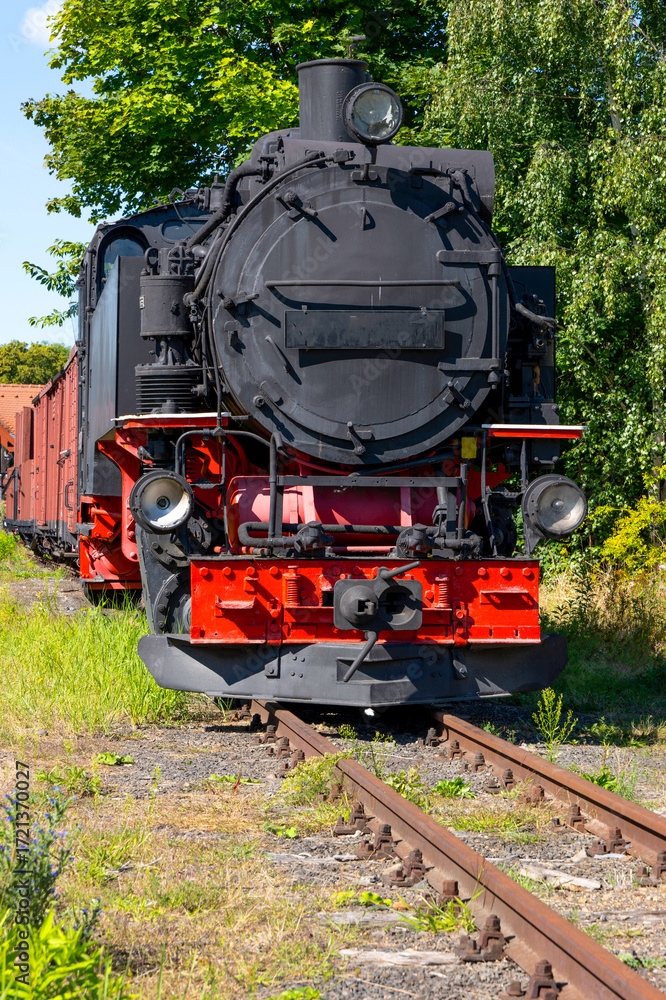 Obraz premium Zittauer Schmalspurbahn (Sachsen)