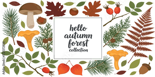 Autumn Forest Collection Hand-Drawn Illustrations of Leaves, Mushrooms & More