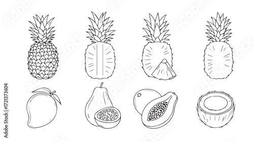 Detailed hand drawn sketch set of tropical fruits pineapple mango papaya coconut avocado silhouette