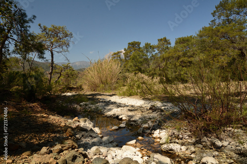 Landscape with mountains, forest and river