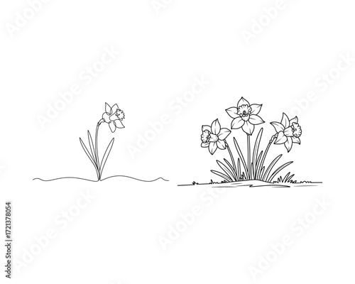 Black and white line drawing of daffodils flower floral