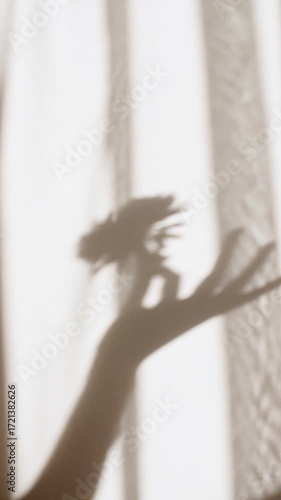 The girl holds a flower in her hand. Transparent soft light and shadow on wall from leaves of the. Sun and shadows. Product presentation, mockup for advertising. Space for text. High quality 4k