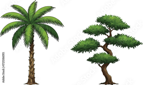 Tropical palm tree illustration, bonsai tree artwork, nature contrast, exotic plants, green foliage, landscape design, botanical diversity, ornamental garden art