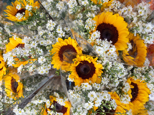 Beauitful Flowers pattern for nature background.