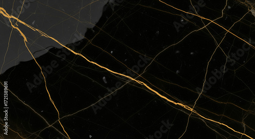 Close-up view of a black marble surface with golden veins and intricate patterns.