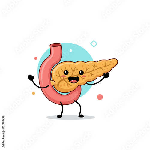 Understanding the Pancreas Its Anatomy Functions and Common Diseases