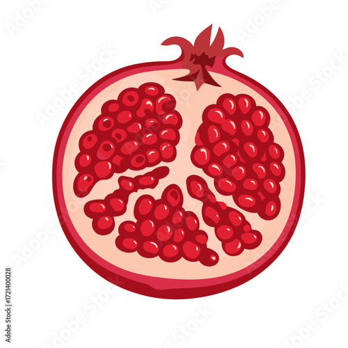 Vibrant Pomegranate Half Cutaway Illustration with Red Arils and White Pith, Fresh Fruit Vector Graphic
