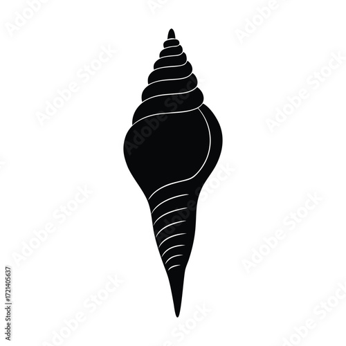 vector illustration of a auger shell