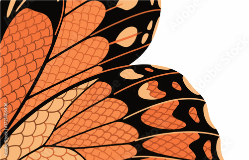 Insect vector graphics