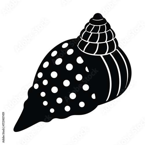 vector illustration of a spotted turban shell on white background