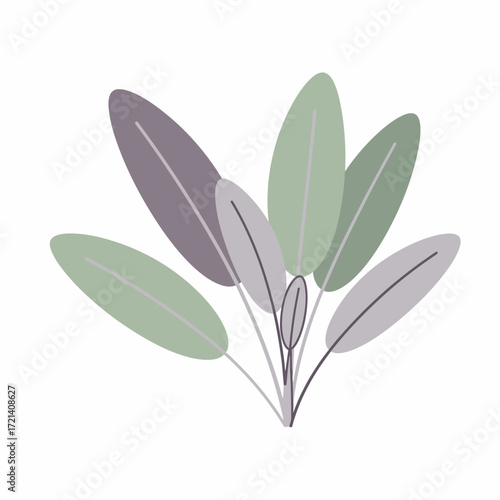 Stylized Sage Plant Illustration with Varied Leaf Colors.