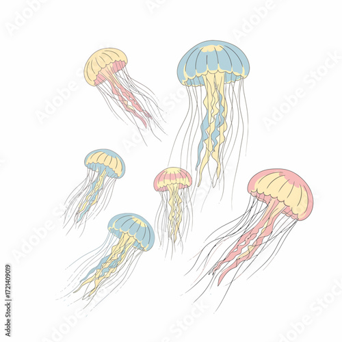Colorful Jellyfish Illustration.