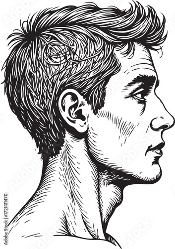 Man's Profile: A detailed pen-and-ink drawing showcases a man's profile, capturing the intricacies of his features. The artwork emphasizes the form and texture of the face.