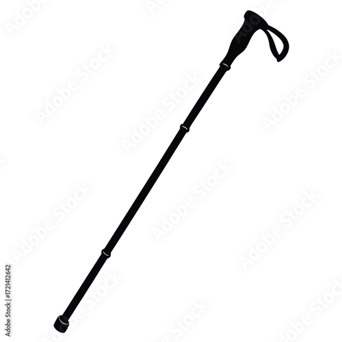 Park Ranger isolated hiking stick on white background
