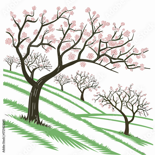 Stylized illustration of blooming cherry blossom trees on a grassy hillside in spring