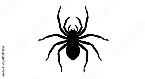 Big tarantula black white icon
