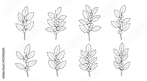 Collection of delicate hand drawn botanical leafy branch silhouettes