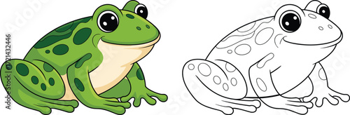 Cartoon frog coloring page, side-by-side colored and outline version, fun amphibian drawing for kids, educational vector art for children