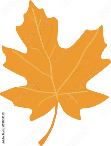 Yellow autumn maple leaf. Vector