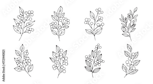 Collection of delicate botanical branch silhouettes in a minimalist style