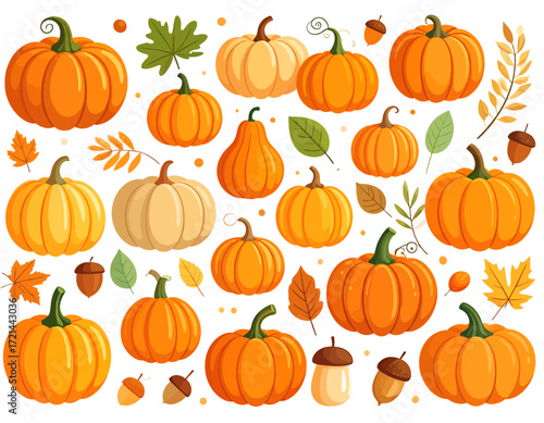 A vibrant collection of various orange and cream-colored pumpkins, gourds, and autumn leaves, perfect for fall harvest and Thanksgiving designs.