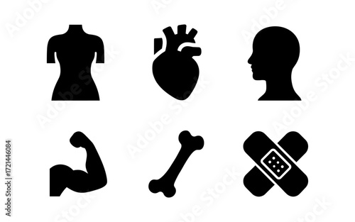 Medical icon set for healthcare design and education featuring heart, brain, and anatomy symbols