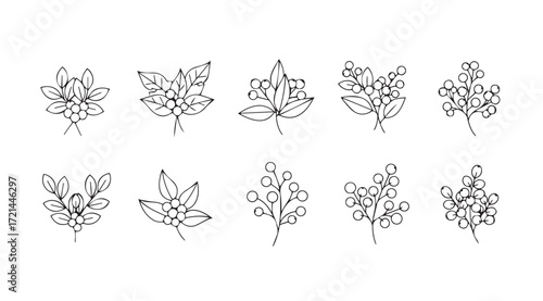 Collection of delicate hand drawn botanical branch silhouettes in black ink
