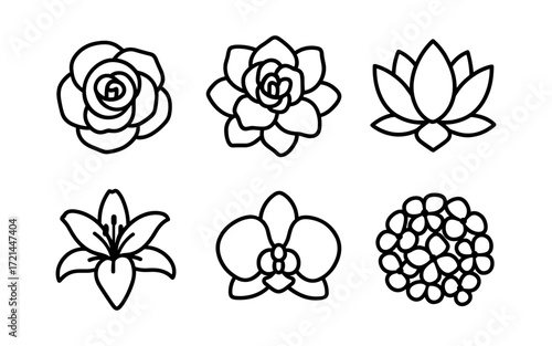 Elegant floral collection for design projects