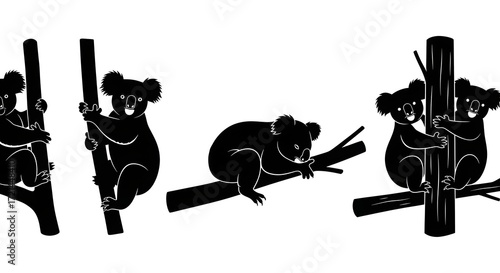 Photography Silhouettes of koalas climbing and sitting isolated on white background