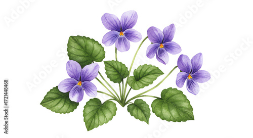 Delicate Watercolor Violets Bouquet