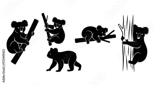 Photography Silhouette of five koalas isolated on white background in different poses