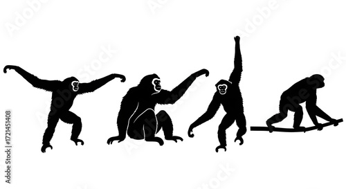 Silhouette of four gibbons in various poses isolated on white background