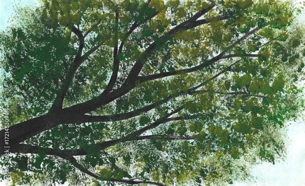 Fototapeta premium Acrylic painting nature background of tree with blue sky on paper. View from below. Illustration for spring, autumn, season and tropical concept. Hand painted texture style.