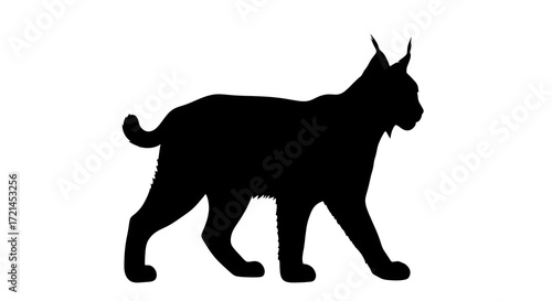 Silhouette of a lynx walking isolated on white background in black color