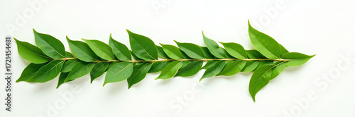 Wallpaper Mural Green arrow made of foliage on white backdrop pointing right. Green arrow displays fresh botanical leaves arranged to create directional signal, evoking organic path. Torontodigital.ca