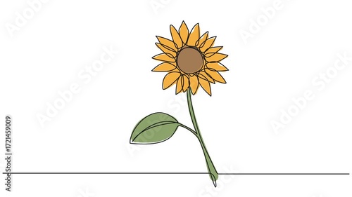 animated continuous single line drawing of sunflower, line art animation