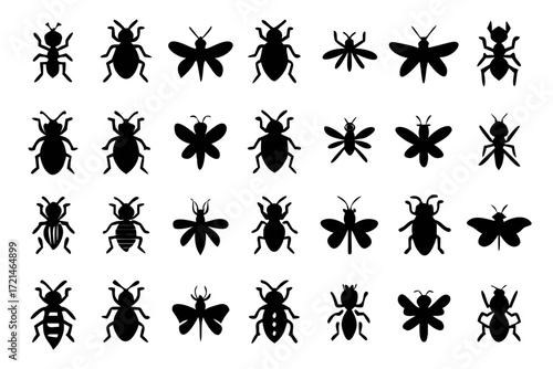 Set of various insect silhouettes collection of different bug species, including ant, beetle, fly, and mosquito in black color