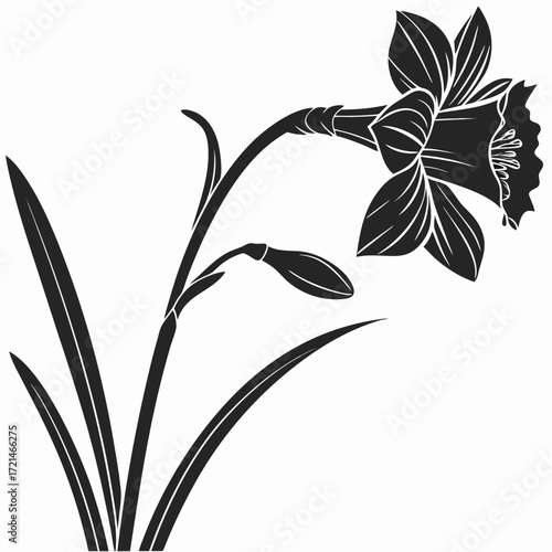 lily of the valley
