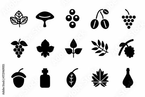 Collection of plant icons set of different plant designs for nature and botany related projects