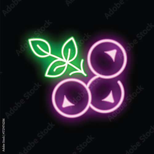 Vibrant neon sign depicting blueberries with leaves, glowing on a black background