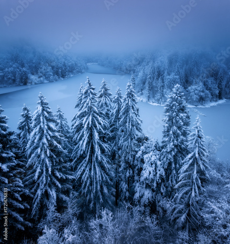 Aerial drone view of snowy ...