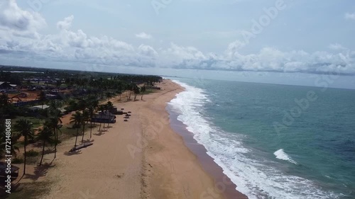 Aerial view of the beautiful beach with palm trees in grand popo, benin