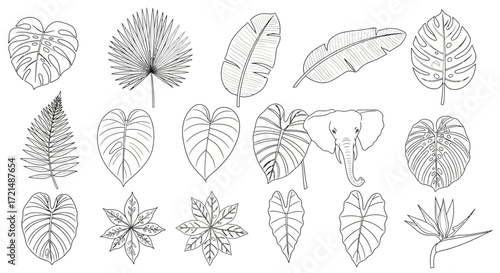 Wallpaper Mural set of leaves Torontodigital.ca