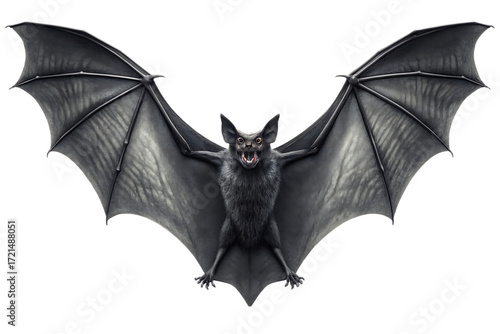 A dark bat with its wings spread wide open against a black background showing its teeth and ears