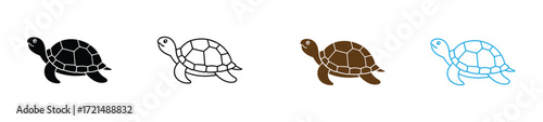 Sea turtle illustration vector graphic ocean animal reptile aquatic wildlife marine life nature conservation icon