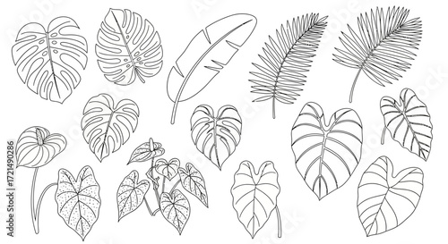 Wallpaper Mural set of leaves Torontodigital.ca